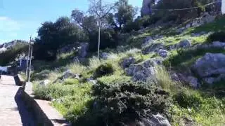 Primavera en Ubrique