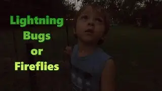 Fireflies or Lightning Bugs? ⚡🪲 Romeo's first time seeing them!
