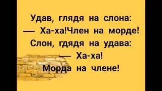 Ха-ха! Чл*н на морде! Самые смешные анекдоты до слез 2021.Короткие анекдоты от Хохмича.