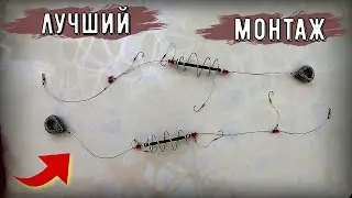 The Ultimate Spring Rig for Crucian Carp and Carp!