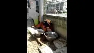 video 2012 08 18 16 18 35