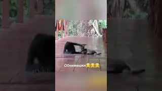 Обнимашки 🤗 #shorts #рекомендации #обнимашки