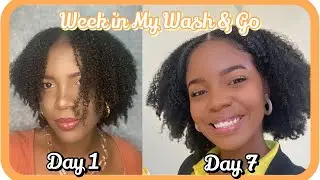 A WEEK IN MY WASH AND GO/ FRO | REFRESH & RESTYLE OF My Type 4 Natural Hair | Tovi Tovia