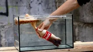 Experiment: Coca Cola VS Mentos Under Water