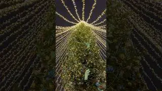 🎄С наступающим Новым 2024 годом!✨ #новогодняямосква #москва #путешествиеврождество
