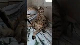 Мартик завис.