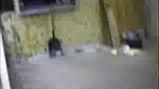 Terry pt1