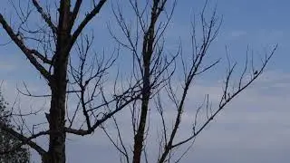 Природа Курской области  Цветные озёра