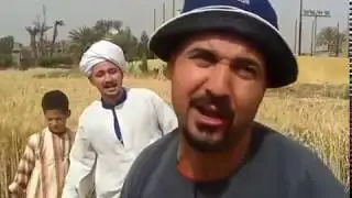 صعيدي بخيل في موسم حصاد القمح بطنك هتوجعك من الضحك