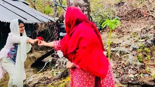 বাবার বাড়িতে হঠাৎ অনেক বড় সমস্যায় কষ্টের সীমা নেই | Sati Akhter | Village  Life with Sati