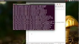 Como instalar Spotify en ubuntu