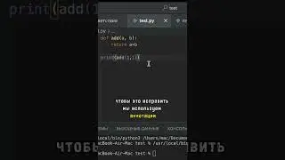 Как правильно оформлять функцию в Python