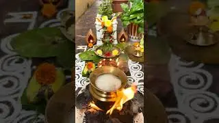 Today's Festival ll Ratha Saptami Pooja🙏🙏🙏