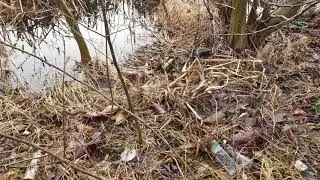 У кого есть время, помогите ...