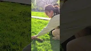 Two Snake Sisters 🐍 | #trending | #viral | #shorts