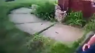 Fails 2017   Intoxicated Man Asks Police to Find His mMarijuana