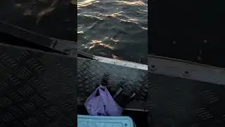 Щука за хвост! #рыбалкавкарелии