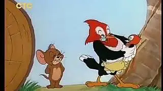 СТС анонс и рекламный блок (14.08.2018) #2
