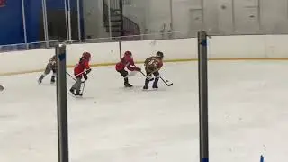 Fortnite Christmas Eve Pond Hockey Tournament Highlights!