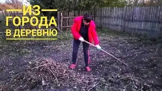 ГОРОДСКИЕ первый день В ДЕРЕВНЕ. ТОПИМ ПЕЧЬ, ТАСКАЕМ ВОДУ, убираемся на огороде.