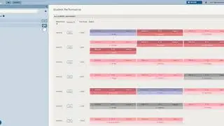 A horizontal analysis of your year group