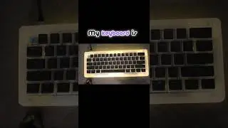 Enter the Fun Zone: Keyboard Puns Aplenty #jokes #gaming #ctrlinkeyboard #funny #gamekeyboard