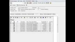 SAP Treasury User Guide - Settle Fixed Deposits  T Code TM06