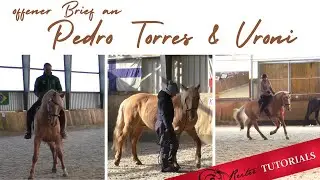 offener Brief an Pedro Torres & Dr. Veronika von Rohrscheidt // Reitertutorials // Reitertutorials