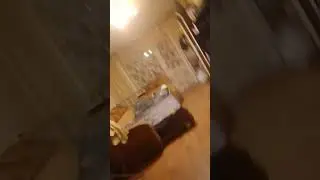 #funny #money #memes прошёл через стену
