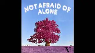 Not Afraid Of Alone - Val Mooty (Original)