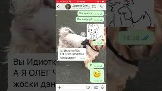 27 июля 2024 г.