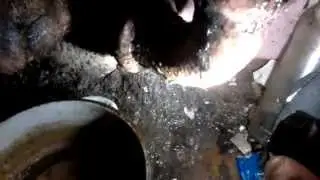 А вы делаете уборку дома ?