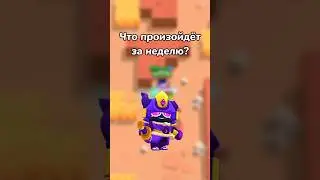 ЧТО ПРОИЗОЙДЁТ ЗА НЕДЕЛЮ? (Тгк: Brawl Diro)