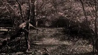 VELN - Veln (2024) full album