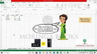 How to Rename a Worksheet in MS Excel 2013 in Windows 10