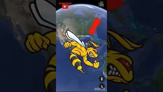 Worlds Largest Killer Bee on Google Earth and Google maps 