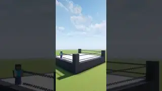 Minecraft wrestling arena 