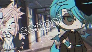{meme} [🌪️]senpai[🌪️]