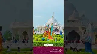 Radhe Radhe