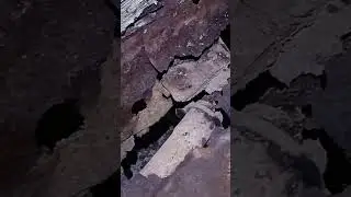 Масштабы бедствия после покупки нивы ссср