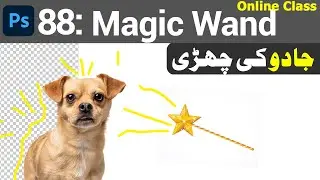 Class 88 : Magic Wand Tool Photoshop | Transparent PNG | Graphics Design Course