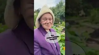 Садоводы