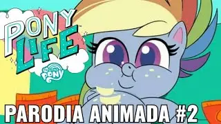 MLP 