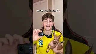 Le puse una cámara a mi perro😭 