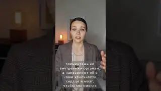 СИЛА МЫСЛИ и ЗДОРОВЬЕ. Эмоции и Психосоматика. 
