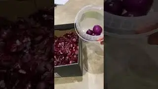АНТИОКСИДАНТЫ ИЗ ЕДЫ КВЕРЦЕТИН И АНТОЦИАНЫ