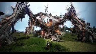 BDO - Офин