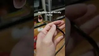 My pet snakes are gonna end me.