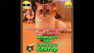 Анекдот про Иришку и клитор. 