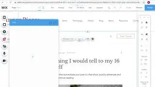 Hide category menu on post page